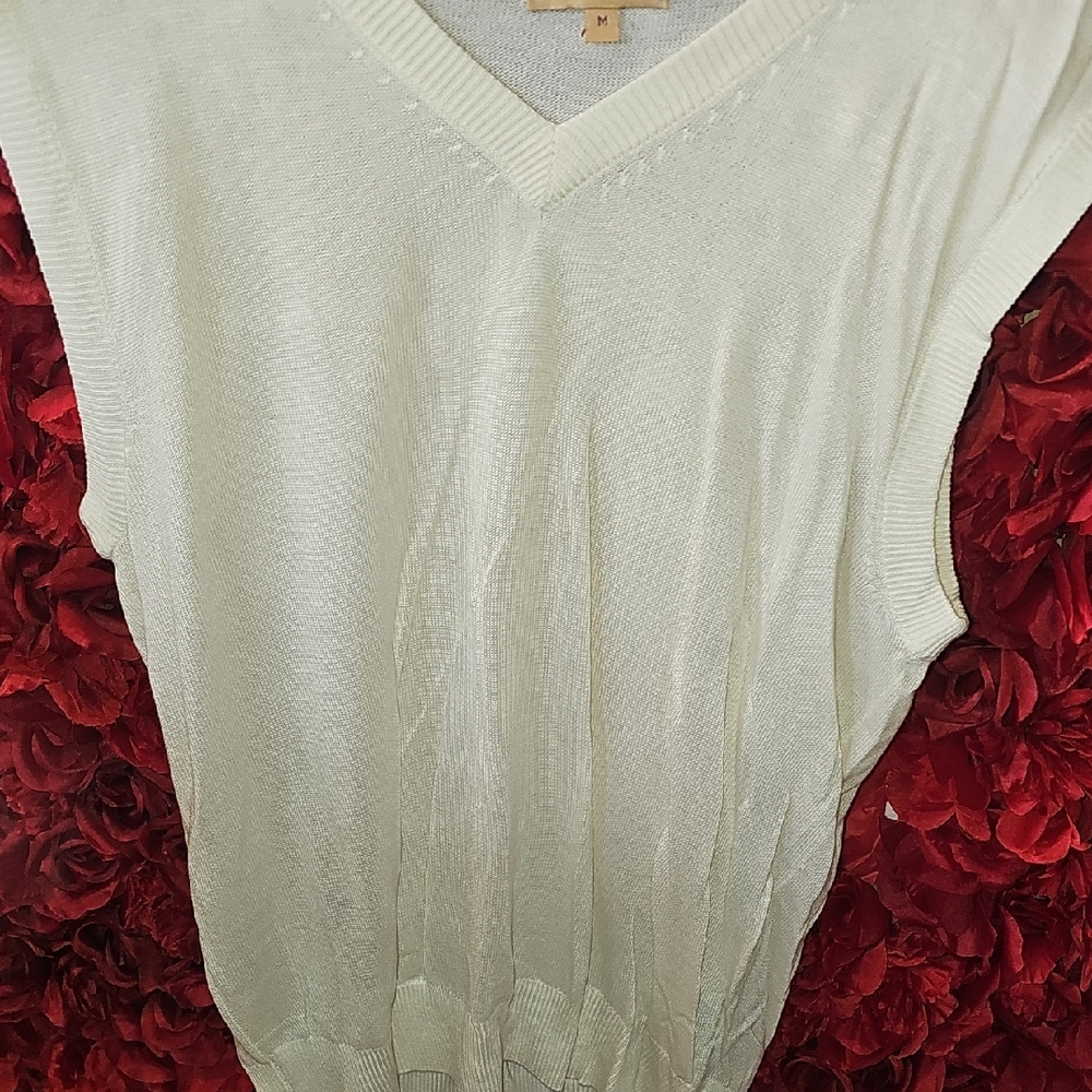 Inserch Men's Cream V-Neck Sweater Vest Size Medium